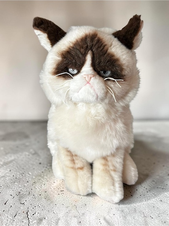 Gund Other - GUND Grumpy Cat Plush Stuffed Animal Meme Cat Tardar Sauce 10"